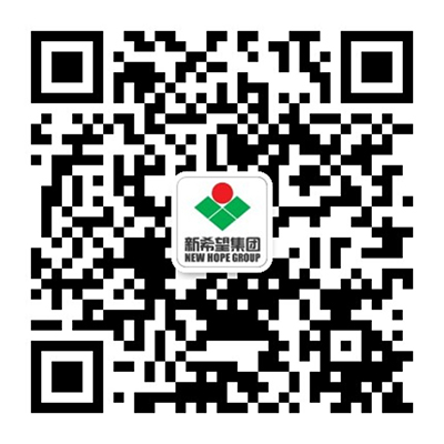 U钱包官网-安全支付工具