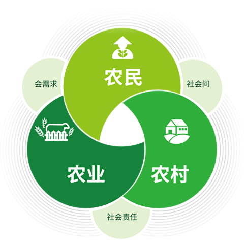 U钱包官网-安全支付工具